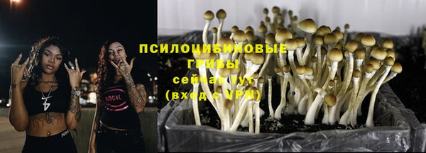 эйфоретик Аркадак