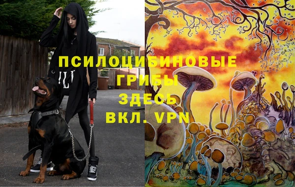 МДПВ Армянск