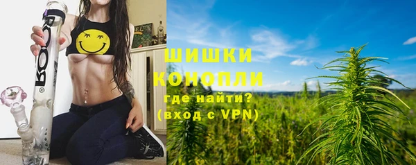 мет Арсеньев