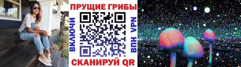 Галлюциногенные грибы мицелий Почеп